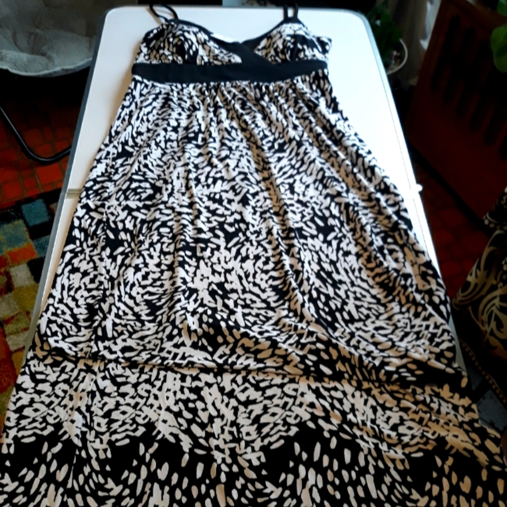 Christopher & Banks Print Maxi